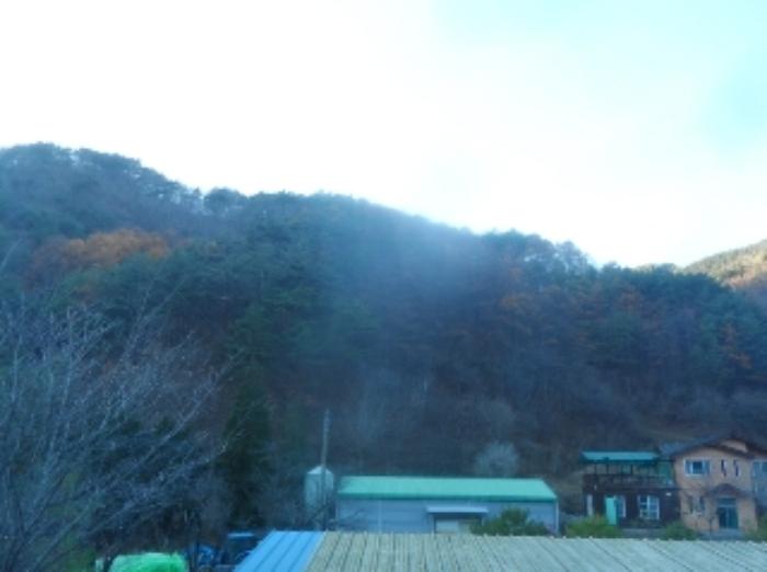 강원특별자치도 정선군 임계면 직원리 산60 임야 경매 사진 13