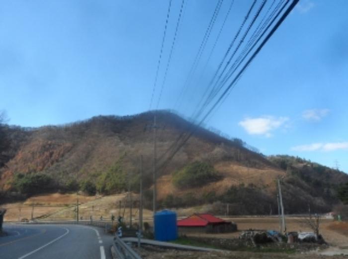 강원특별자치도 정선군 임계면 직원리 산60 임야 경매 사진 19