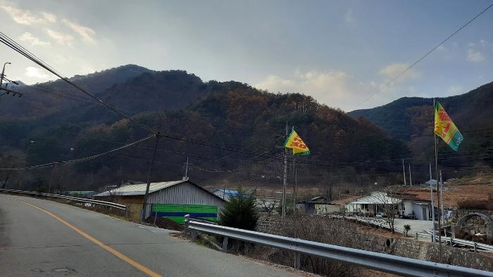 강원특별자치도 정선군 임계면 직원리 산60 임야 경매 사진 3