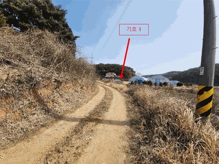 충청남도 태안군 안면읍 정당리 920-4 전 경매 사진 8