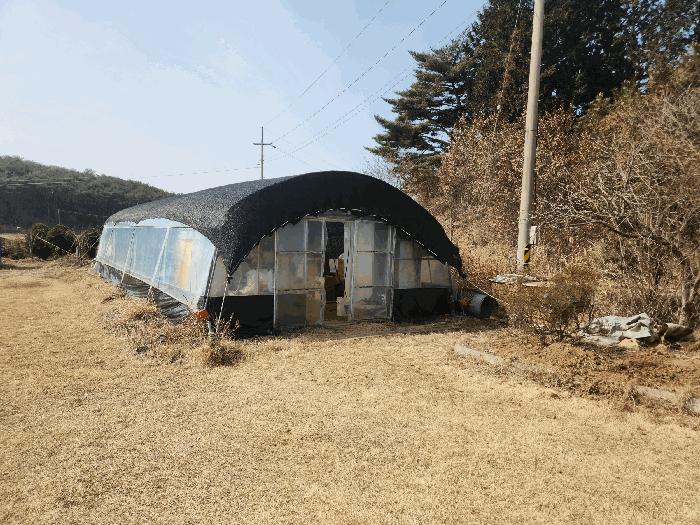 충청남도 태안군 안면읍 창기리 1319-3 답 경매 사진 1