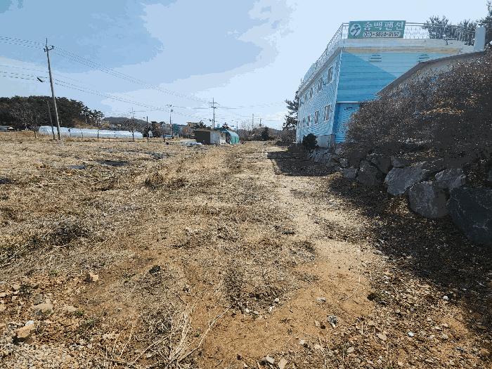 충청남도 태안군 안면읍 창기리 1319-3 답 경매 사진 10
