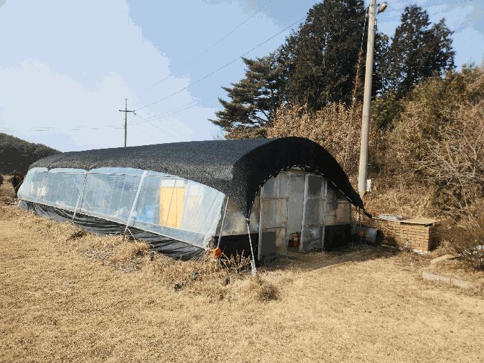 충청남도 태안군 안면읍 창기리 1319-3 답 경매 사진 11