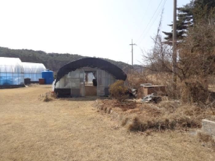 충청남도 태안군 안면읍 창기리 1319-3 답 경매 사진 20