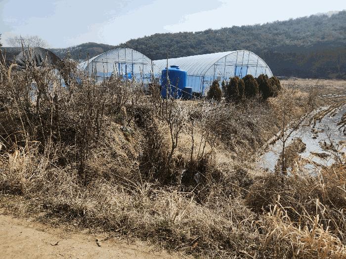 충청남도 태안군 안면읍 창기리 1319-3 답 경매 사진 6