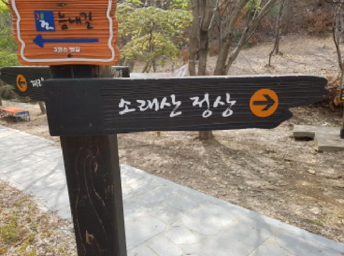 경기도 시흥시 신천동 산11 임야 경매 사진 17