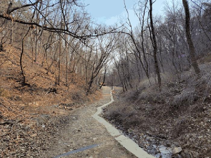 경기도 시흥시 신천동 산11 임야 경매 사진 2