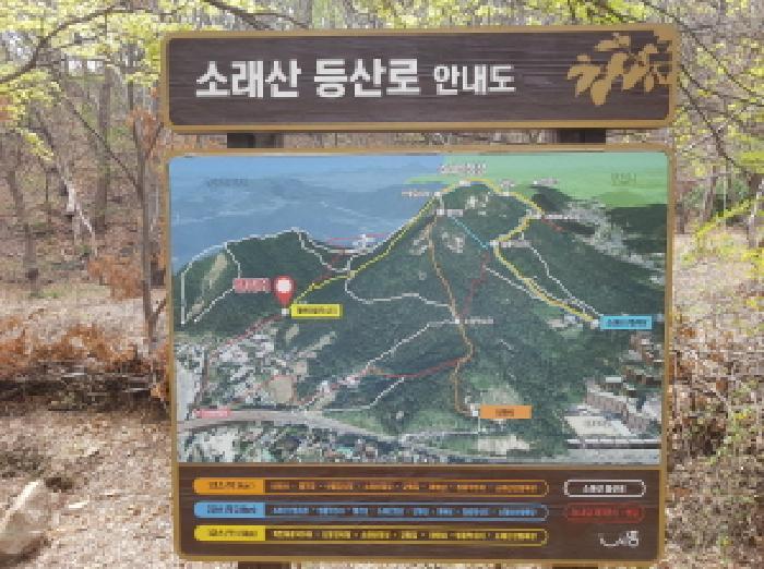 경기도 시흥시 신천동 산11 임야 경매 사진 21