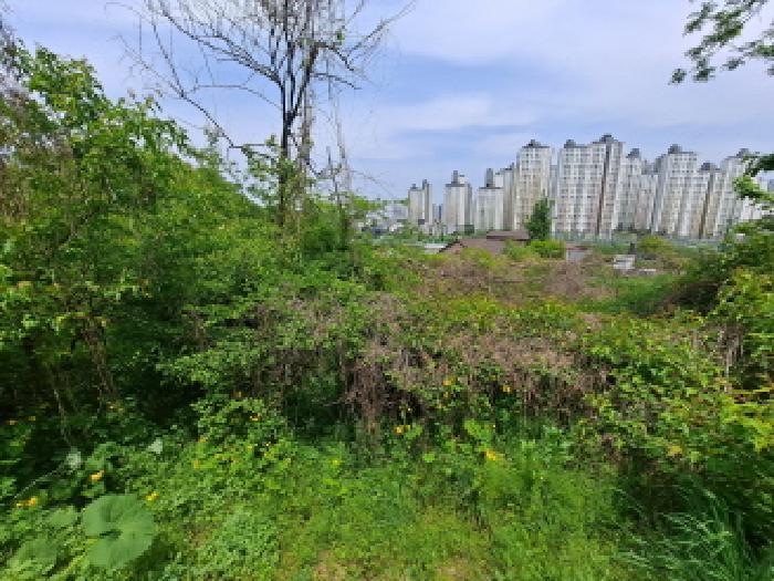 충청남도 당진시 송악읍 기지시리 109-13 임야 경매 사진 28