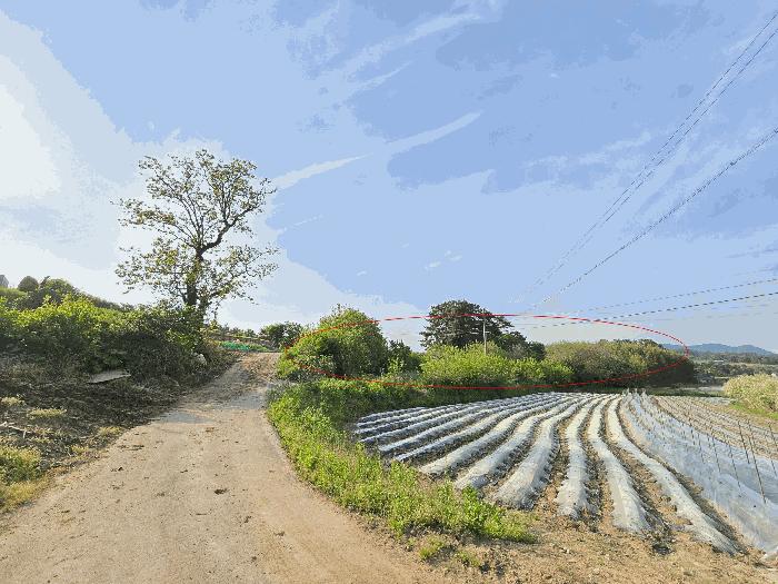 충청남도 서산시 지곡면 대요리 402-8 전 경매 사진 1
