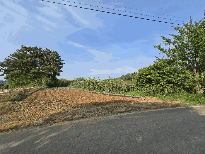 충청남도 서산시 지곡면 대요리 402-8 전 경매 사진 5