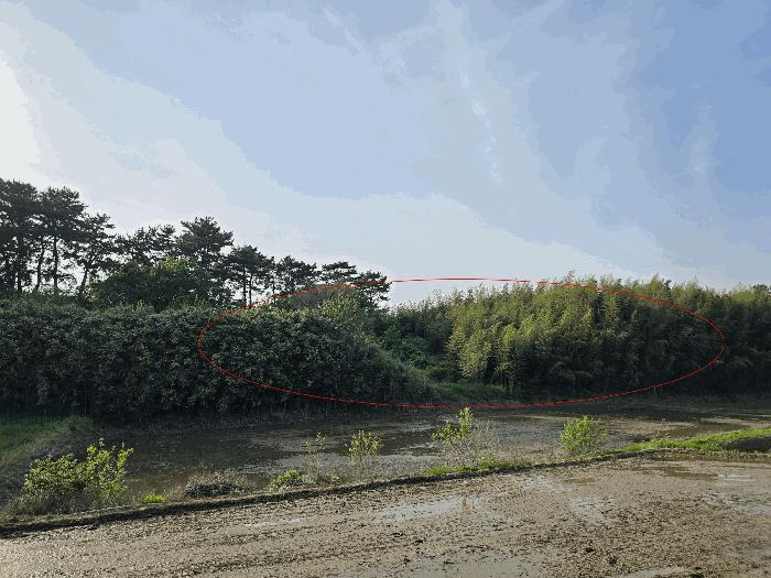 충청남도 서산시 지곡면 대요리 402-8 전 경매 사진 6