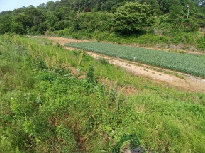 충청남도 당진시 대호지면 조금리 447 전 경매 사진 11
