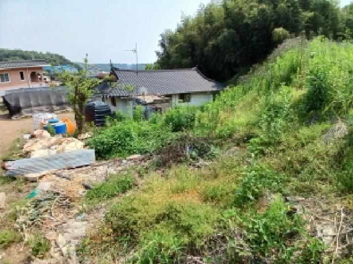 충청남도 당진시 대호지면 조금리 447 전 경매 사진 17