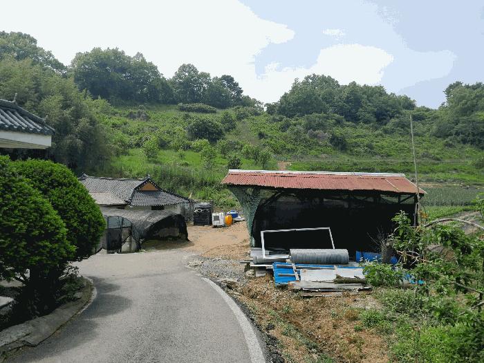충청남도 당진시 대호지면 조금리 447 전 경매 사진 2