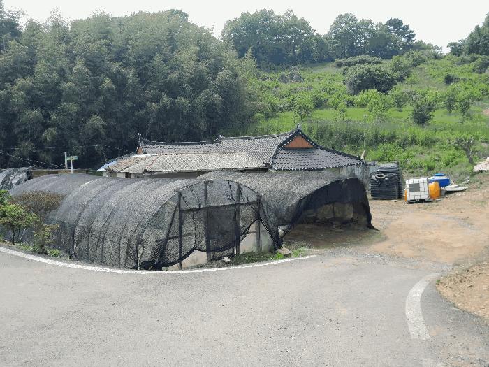 충청남도 당진시 대호지면 조금리 447 전 경매 사진 3