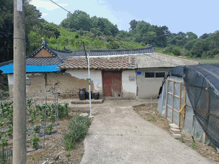 충청남도 당진시 대호지면 조금리 447 전 경매 사진 4