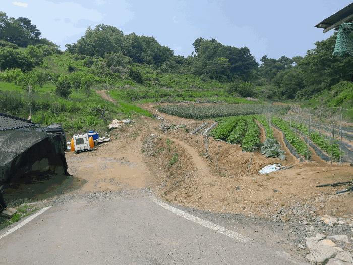 충청남도 당진시 대호지면 조금리 447 전 경매 사진 6