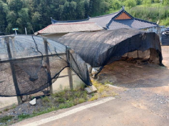 충청남도 당진시 대호지면 조금리 447 전 경매 사진 8