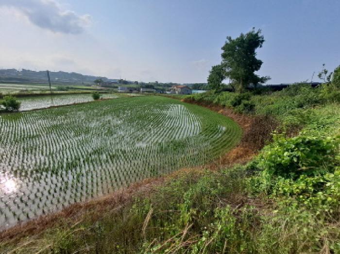 충청남도 당진시 송악읍 전대리 523-1 전 경매 사진 12