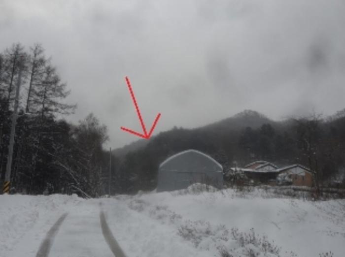 강원특별자치도 평창군 봉평면 면온리 산141 임야 경매 사진 5