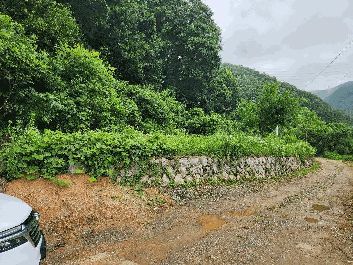 충청북도 진천군 백곡면 성대리 174 대지 경매 사진 1