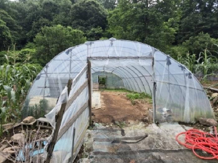 충청북도 진천군 백곡면 성대리 174 대지 경매 사진 12