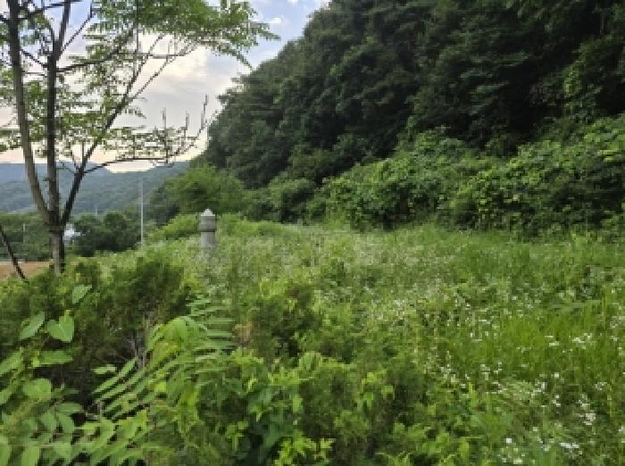 충청북도 진천군 백곡면 성대리 174 대지 경매 사진 13