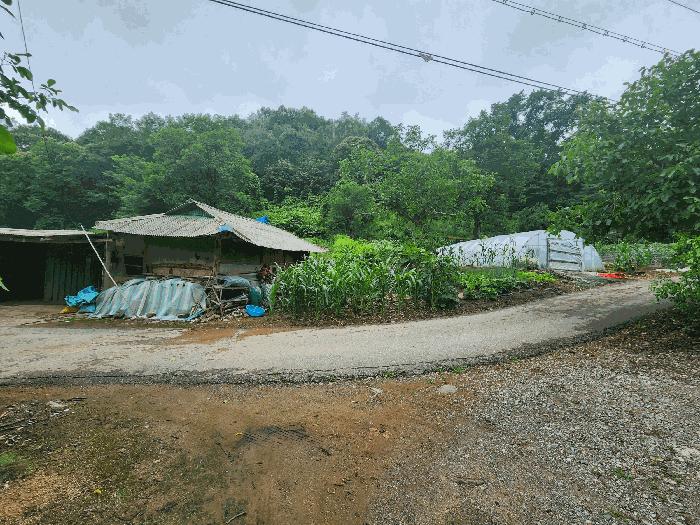 충청북도 진천군 백곡면 성대리 174 대지 경매 사진 2