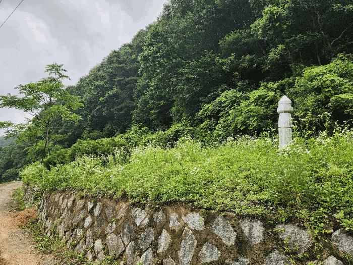 충청북도 진천군 백곡면 성대리 174 대지 경매 사진 3
