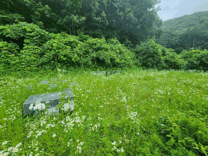 충청북도 진천군 백곡면 성대리 174 대지 경매 사진 4