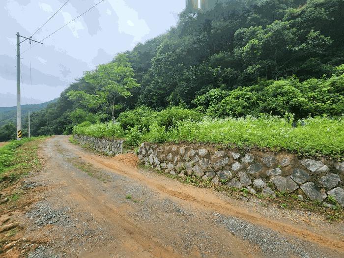 충청북도 진천군 백곡면 성대리 174 대지 경매 사진 5