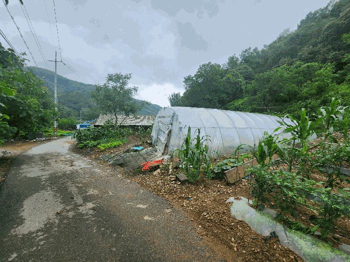충청북도 진천군 백곡면 성대리 174 대지 경매 사진 6
