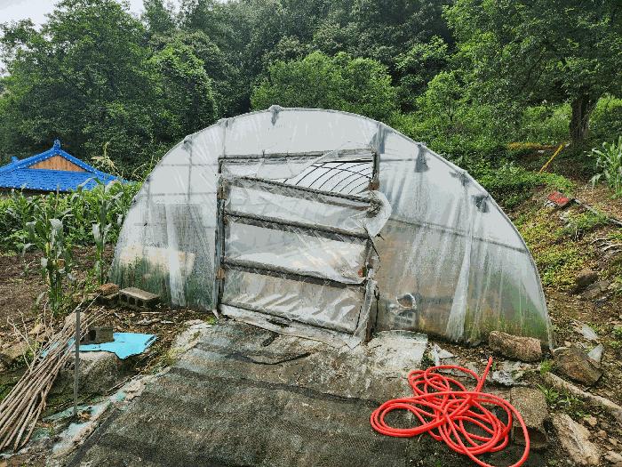 충청북도 진천군 백곡면 성대리 174 대지 경매 사진 7