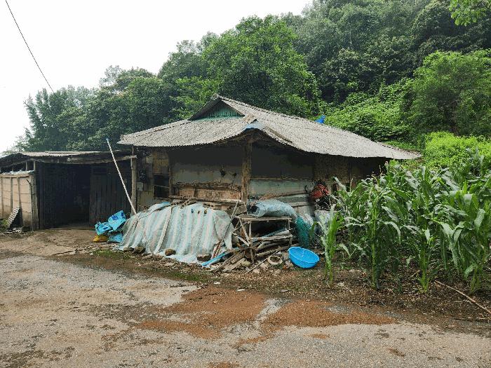 충청북도 진천군 백곡면 성대리 174 대지 경매 사진 8