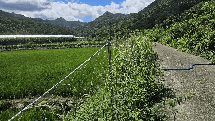충청북도 보은군 산외면 신정리 167-1 전 경매 사진 1