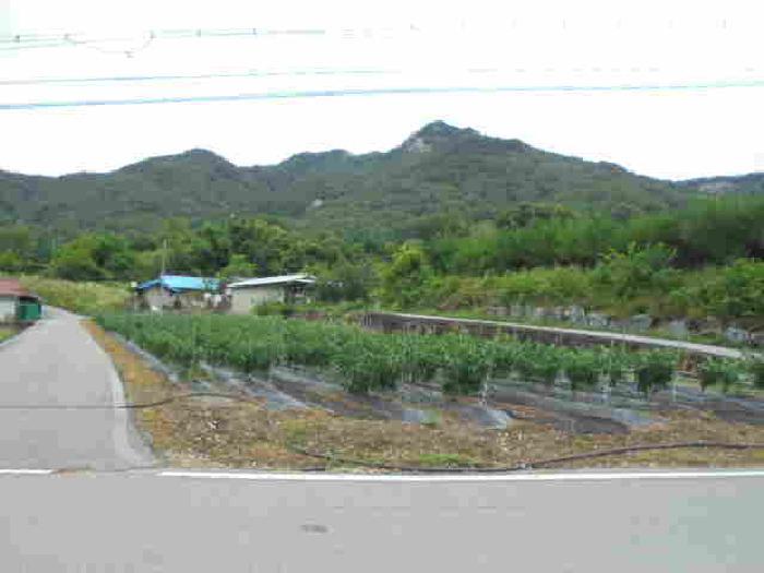 충청북도 보은군 산외면 신정리 167-1 전 경매 사진 20
