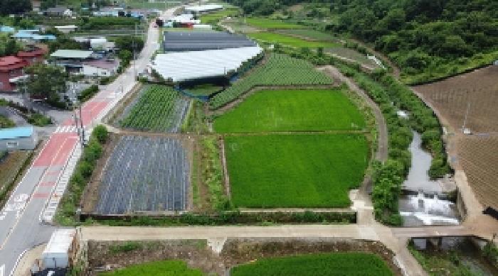 충청북도 보은군 산외면 신정리 167-1 전 경매 사진 22