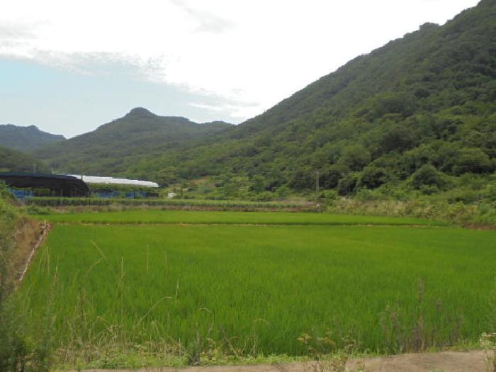 충청북도 보은군 산외면 신정리 167-1 전 경매 사진 27