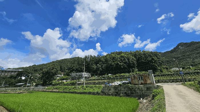 충청북도 보은군 산외면 신정리 230-1 전 경매 사진 2
