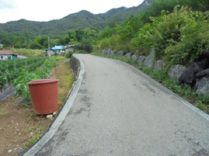 충청북도 보은군 산외면 신정리 230-1 전 경매 사진 21