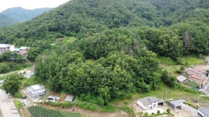 충청북도 보은군 산외면 신정리 230-1 전 경매 사진 24