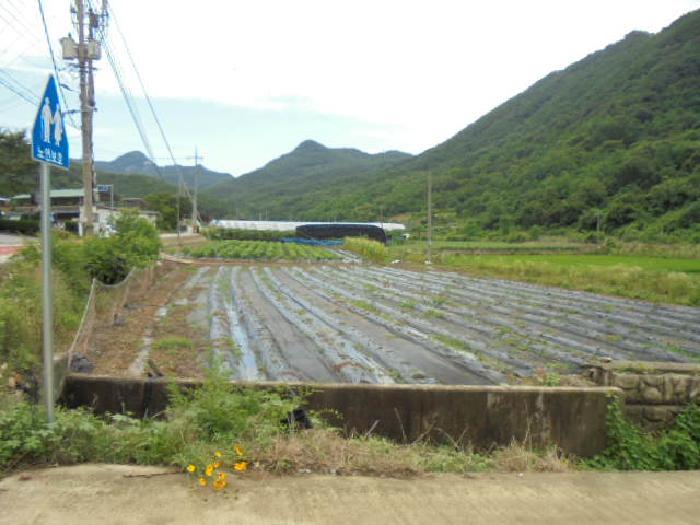 충청북도 보은군 산외면 신정리 230-1 전 경매 사진 25