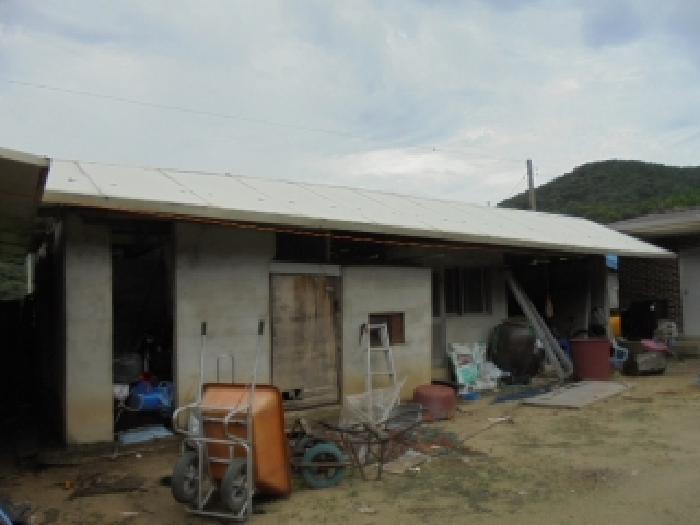 충청북도 보은군 산외면 신정리 230-1 전 경매 사진 31