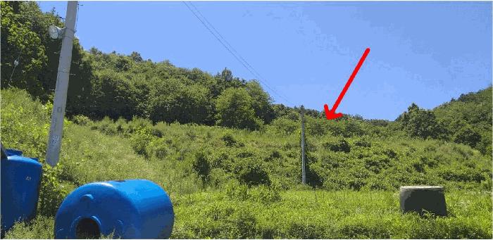 충청북도 보은군 보은읍 산성리 산53-4 창고 경매 사진 6