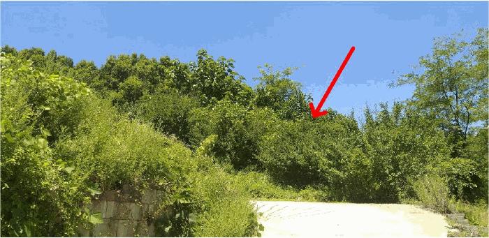 충청북도 보은군 보은읍 산성리 산53-4 창고 경매 사진 9