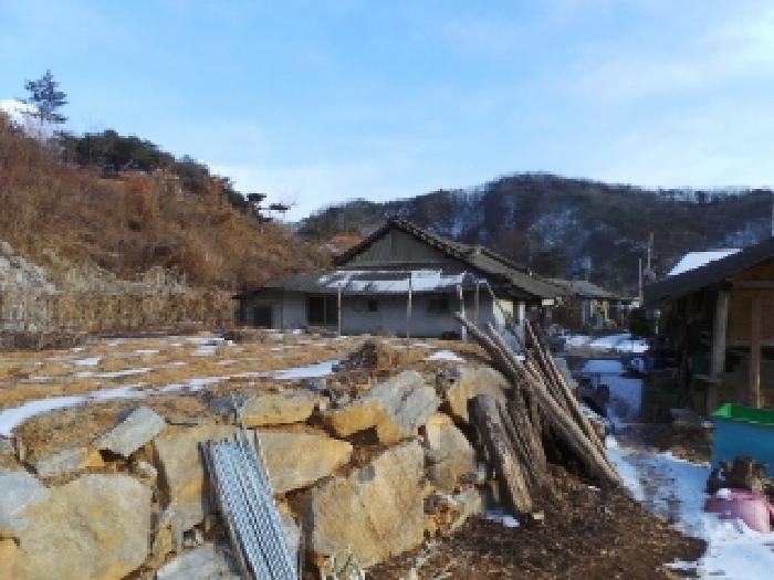 강원특별자치도 영월군 한반도면 광전리 835 전 경매 사진 5