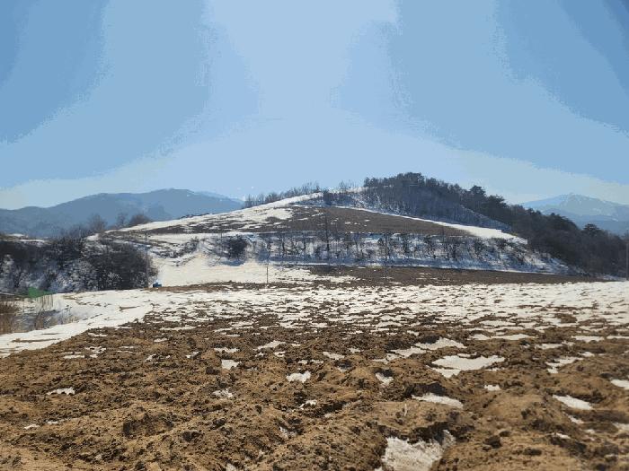 강원특별자치도 평창군 대관령면 횡계리 185-47 임야 경매 사진 2