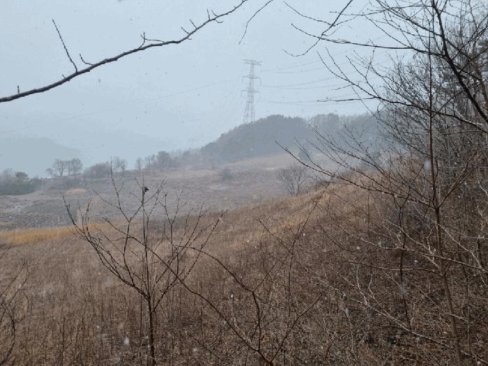 강원특별자치도 정선군 화암면 석곡리 99-2 전 경매 사진 1