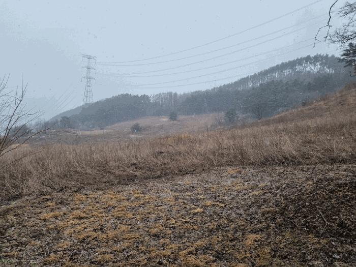 강원특별자치도 정선군 화암면 석곡리 99-2 전 경매 사진 2